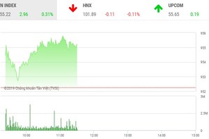 Phiên sáng 20/12:  Sóng penny trở lại