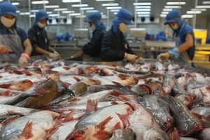 Thủy sản Hùng Vương (HVG) thu về hơn 40 tỷ đồng từ việc bán cổ phiếu quỹ