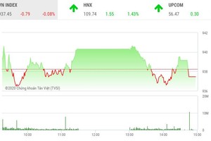 Phiên chiều 14/2: VIC khiến VN-Index “trượt chân”, cổ phiếu nhỏ bị chốt lời