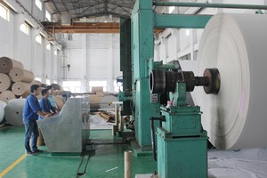 Thêm 1 cá nhân giao dịch cổ phiếu GVT của Giấy Việt Trì bị phạt 62,5 triệu đồng