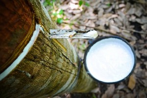 Cổ phiếu cần quan tâm ngày 22/4