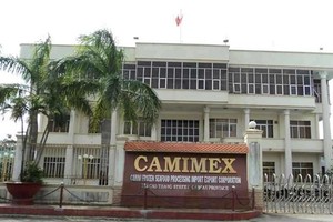 Camimex Group (CMX): Cổ phiếu liên tục tăng trần, Kế toán trưởng muốn bán toàn bộ hơn 3 triệu cổ phiếu