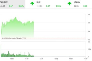 Giao dịch chứng khoán sáng 3/7: Niềm tin chưa trở lại