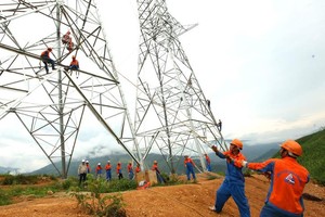 Sông Đà 11 (SJE) trả cổ tức 10% bằng tiền và 20% bằng cổ phiếu