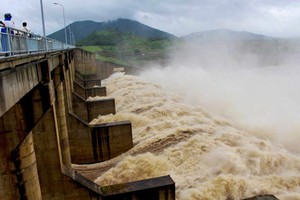 Đầu tư xây dựng và năng lượng VCP (VCP): Một tổ chức muốn mua 12 triệu cổ phiếu