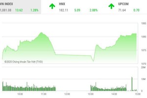 Giao dịch chứng khoán chiều 21/12: VN-Index tăng tốc, cổ phiếu chứng khoán "tím lịm"