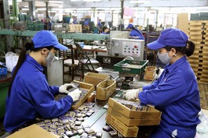 Pin Hà Nội (PHN) tạm ứng cổ tức đợt 2/2020 bằng tiền, tỷ lệ 15%