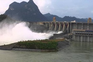 Thủy điện Đa Nhim - Hàm Thuận - Đa Mi (DNH) chi gần 600 tỷ đồng tạm ứng cổ tức năm 2020