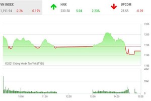 Phiên giao dịch chứng khoán chiều 18/1: Cổ phiếu nhỏ nóng rẫy, VN-Index hạ nhiệt