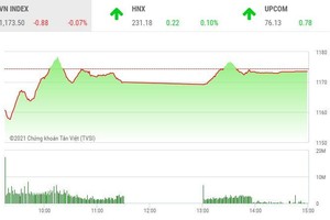 Giao dịch chứng khoán chiều 19/2: Cổ phiếu ngân hàng giúp VN-Index đứng vững