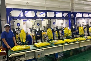 Nông nghiệp Công nghệ cao Trung An (TAR): Tổng giám đốc muốn bán hết 9,48 triệu cổ phiếu