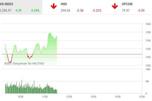 Phiên giao dịch chứng khoán sáng 19/5: Thị trường hồi phục, điểm nhấn cổ phiếu thép và ngân hàng