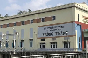 Năm 2021, Sông Ba (SBA) đặt kế hoạch tổng doanh thu 239,9 tỷ đồng, cổ tức 10 - 12%