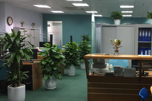 Chứng khoán APG (APG) trả cổ tức 15% cổ phiếu và thực hiện quyền mua, tỷ lệ 1:1