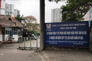 Xuất nhập khẩu Thủy sản Hà Nội (SPH) trả cổ tức còn lại năm 2020, tỷ lệ 12%