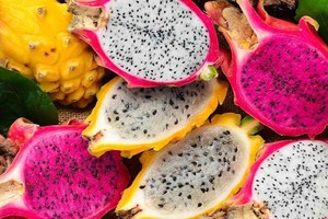 Đẩy mạnh xuất khẩu thanh long, mặt hàng tỷ USD 