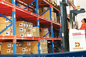 Digiworld (DGW) phát hành 500.000 cổ phiếu ESOP cho người lao động