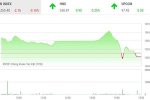 Giao dịch chứng khoán chiều 20/9: Thị trường điều chỉnh, họ Louis đua nhau tăng trần