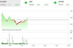 Giao dịch chứng khoán sáng 5/11: Thị trường rung lắc, nhóm cổ phiếu FLC dậy sóng