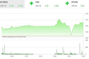 Giao dịch chứng khoán chiều 8/11: Thị trường rung lắc mạnh, hàng loạt mã vừa và nhỏ đua trần