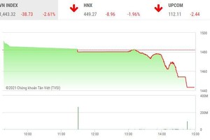 Giao dịch chứng khoán chiều 3/12: Ồ ạt xả bán, VN-Index bốc hơi gần 40 điểm