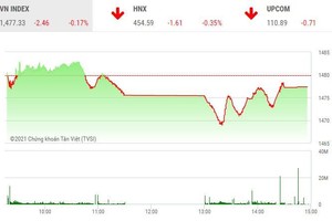 Giao dịch chứng khoán chiều 20/12: Thị trường giảm điểm, cổ phiếu vừa và nhỏ nóng trở lại