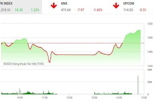 Giao dịch chứng khoán chiều 12/1: Kéo trụ, VN-Index xanh bát ngát