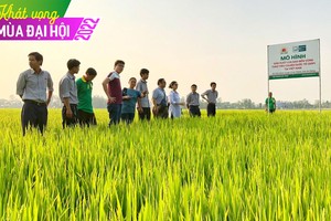 Chuyện ngược đời ở Lộc Trời (LTG): Đặt kế hoạch lợi nhuận thấp để hưởng thưởng lớn?