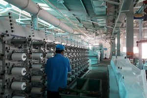 Sadico Cần Thơ (SDG): Cổ phiếu tăng nóng, Chủ tịch đăng ký mua 1 triệu cổ phiếu