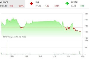 Giao dịch chứng khoán chiều 24/6: Thị trường rung lắc, nhiều mã nhỏ nổi sóng
