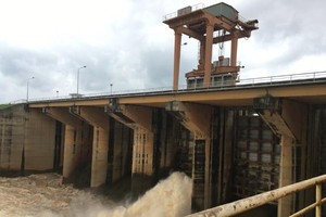 Thêm một công ty con của IDICO (IDC) chia cổ tức 20% bằng tiền mặt