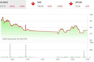 Giao dịch chứng khoán chiều 7/11: Cổ phiếu la liệt giá sàn, VN-Index giảm điểm xuyên đáy cũ
