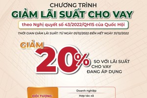 Thêm ngân hàng có vốn nhà nước giảm tiếp lãi suất cho vay để hỗ trợ khách hàng