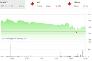 Giao dịch chứng khoán chiều 13/1: Thanh khoản tăng tốt, VN-Index chỉ nhích bước
