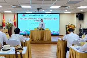 ĐHCĐ Điện lực TKV (DTK): Giải đáp thắc mắc mức chia cổ tức không bằng gửi tiết kiệm tại ngân hàng