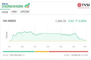 VN-Index về sát vạch xuất phát, thị trường vẫn xuất hiện nhiều "ngôi sao"