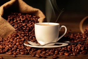 Hòa Bình Takara (CTP): Chủ tịch HĐQT đã mua 1 triệu cổ phiếu khi thị giá tăng gấp 10 lần 