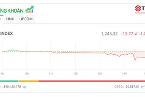 Thị trường "đỏ lửa", VN-Index về mốc 1.245 điểm