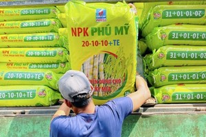 DPM: Ngày GDKHQ nhận cổ tức bằng tiền năm 2023 (20%)