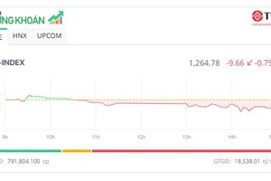 Áp lực T+ khiến VN-Index mất gần 10 điểm, cổ phiếu QCG bị bán tháo