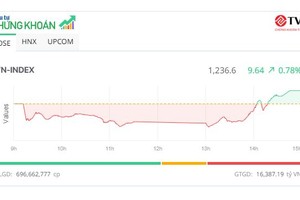 Phiên giao dịch chiều 2/8: Cổ phiếu chứng khoán nổi sóng, VN-Index hồi phục gần 30 điểm từ đáy