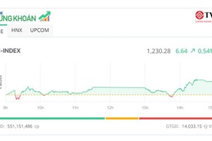 Tiền vẫn tập trung ở nhóm bluechip, VN-Index lấy lại mốc 1.230 điểm