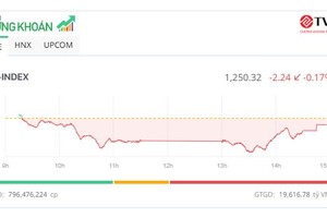 Thanh khoản cao nhất hơn 1 tháng, VN-Index tìm lại mốc 1.250 điểm
