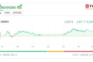Thị trường "ru ngủ", cổ phiếu HVN bất ngờ bùng nổ