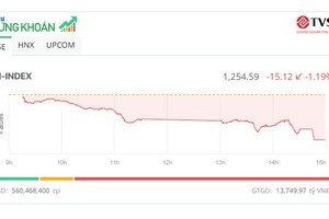 Thị trường mất hơn 15 điểm, cổ phiếu YEG lấy lại sắc tím