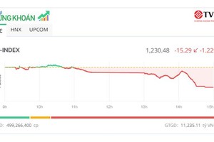 Sắc đỏ tràn ngập, VN-Index lùi về mốc 1.230 điểm