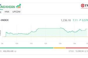 Dòng tiền chảy mạnh vào nhóm cổ phiếu đầu tư công