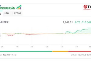 Sắc xanh lan tỏa, VN-Index lên sát mốc 1.250 điểm