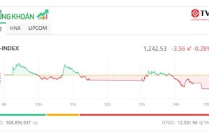 Cổ phiếu YEG nổi sóng cùng “Anh trai vượt ngàn chông gai” 