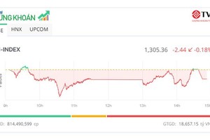 Thị trường điều chỉnh nhẹ, cổ phiếu bất động sản hút tiền 